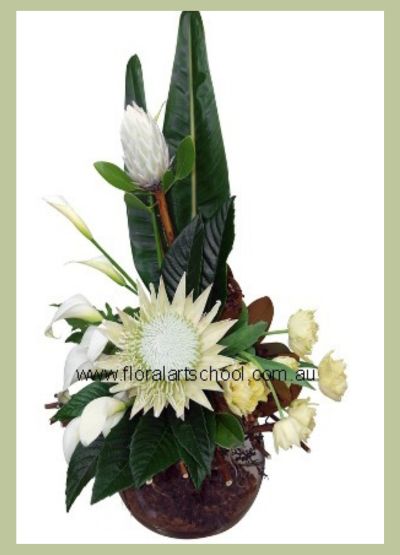 This is a modern floral design featuring Proteas, tulips and calla lilies arranged in a round container.