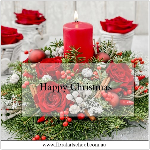 Have a wonderful Christmas - celebrate with family and friends