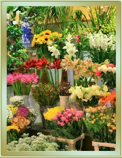 flowers in florist shop