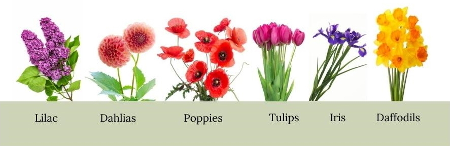Floristry Tips